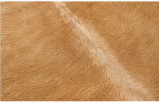 Light Brown Cowhide Rug - Genuine Caramel Tan Leather Area Rug