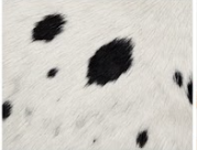 Genuine Black and White Cowhide Rug | Natural Spotted Cow Skin Area Rug | Classic Holstein Pattern Leather Carpet for Living Room