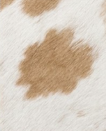 Genuine Champagne Beige & White Cowhide Rug | Natural Light Tan Spotted Cowskin Area Rug | Soft Cream Leather Carpet for Living Room
