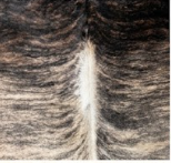 Genuine Brown Brindle Cowhide Rug | Natural Honey & Dark Striped Cow Hide Leather Area Rug | Exotic Western Living Room Floor Decor
