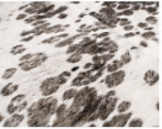White & Silver Speckled Cowhide Rug – Genuine Hair On Hide Rug, Natural Cow Skin Area Rug, Modern Farmhouse Decor