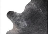 Natural Dark Grey Cowhide Rug - Luxury Genuine Leather Area Rug