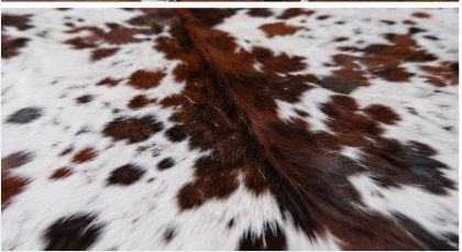 Natural Tricolor Cowhide Rug, Brown, Black, and White Hair-on-Hide Area Rug