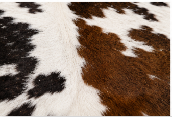 Natural Tricolor Cowhide Rug, Brown, Black, and White Hair-on-Hide Area Rug