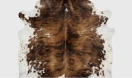 Genuine Tricolor Cognac & Black Speckled Cowhide Rug | Honey Brown & White Cowskin Area Rug | Rustic Modern Western Leather Carpet