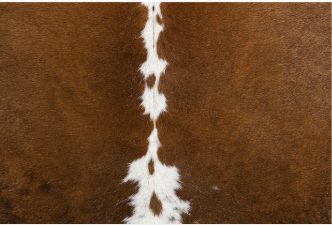 Authentic Brown and White Cowhide Rug -  Leather Area Rug