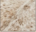 Genuine Champagne Beige & Tan Cowhide Rug | Natural Speckled Light Brown Cowskin Area Rug | Neutral Boho Carpet for Living Room