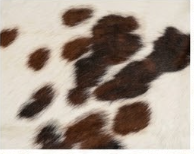 Genuine Salt & Pepper Cowhide Rug | Dark Brown & Off-White Speckled Cowskin Area Rug | Rustic Modern Western Leather Carpet