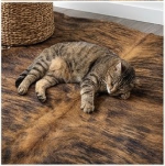 Natural Brindle Brown and Black Cowhide Rug, Genuine Hair-on-Hide Area Mat