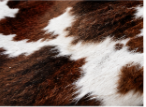 Brown & White Cowhide Rug – Genuine Natural Cow Skin Area Rug, Western Farmhouse Decor, Real Hair On Hide Rug, Living Room Accent Rug