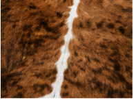Brown Brindle Cowhide Rug – Natural Cow Skin Area Rug, Rustic Farmhouse Decor, Genuine Leather Hide Rug, Western Living Room Accent