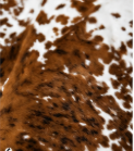 Authentic Brown and White Spotted Cowhide Area Rug – Genuine Salt & Pepper Pattern Leather Mat