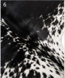 Authentic Jet Black & White Speckled Spine Cowhide Area Rug – Genuine Leather Accent Mat