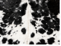 Authentic Black and White Speckled Cowhide Rug -  Leather Area Rug