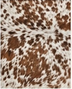 Authentic Chestnut Brown & White Spine Cowhide Area Rug – Genuine Natural Leather Accent Mat