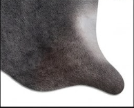 Natural Dark Grey Cowhide Rug - Luxury Genuine Leather Area Rug