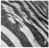 Authentic Black and White Zebra Stenciled Cowhide Rug -  Printed Leather Area Rug