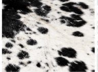 Authentic Black and White Speckled Cowhide Rug -  Leather Area Rug