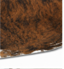 Brown Brindle Cowhide Rug - Genuine Dark Chestnut Leather Area Rug