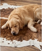 Authentic Chestnut Brown & White Spine Cowhide Area Rug – Genuine Natural Leather Accent Mat