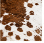 Authentic Chestnut & White Speckled Cowhide Area Rug – Genuine Tricolor Leather Accent Mat