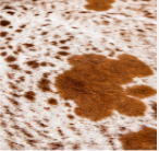 Brown & White Speckled Cowhide Rug | Genuine Natural Cow Skin Rug | Western Farmhouse Area Rug | Real Leather Hide Carpet