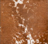 Brown and White Salt & Pepper Cowhide Rug - Genuine Speckled Leather Area Rug
