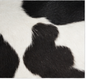 Classic Black and White Cowhide Rug - Genuine Natural Leather Area Rug