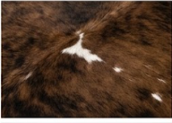 Genuine Natural Cowhide Rug | Tricolor Dark Brown & White Speckled Cow Hide Leather Floor Mat | Salt and Pepper Cowskin Area Rug