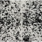 Genuine Jet Black Cowhide Rug | White Peppered Rimmed Leather Area Rug | Modern Black & White Western Cowskin Carpet for Living Room