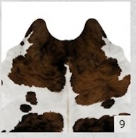 Authentic Brown and White Speckled Cowhide Rug -  Real Leather Area Rug